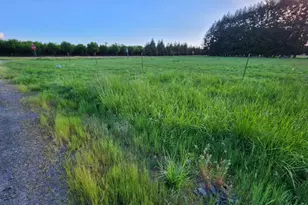 29290 S Old Molalla Rd, Molalla, OR 97038 - Photo 17