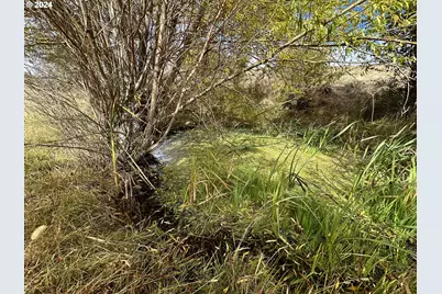 49 Restful Haven Dr, Lyle, WA 98635 - Photo 9