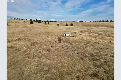 49 Restful Haven Dr, Lyle, WA 98635 - Photo 29