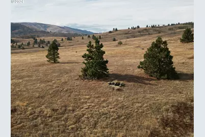 49 Restful Haven Dr, Lyle, WA 98635 - Photo 15