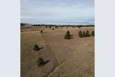 49 Restful Haven Dr, Lyle, WA 98635 - Photo 25