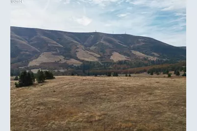 49 Restful Haven Dr, Lyle, WA 98635 - Photo 3