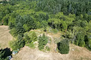 275 Studebaker Spur 2, Castle Rock, WA 98611 - Photo 17