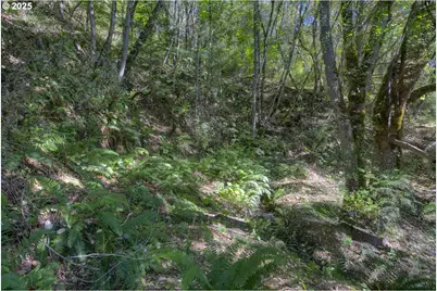 1263 Yokum Rd, Riddle, OR 97469 - Photo 5