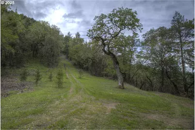 1263 Yokum Rd, Riddle, OR 97469 - Photo 3