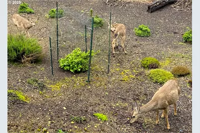 2600 NE 33rd St, Lincoln City, OR 97367 - Photo 29
