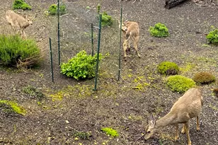 2600 NE 33rd St, Lincoln City, OR 97367 - Photo 29