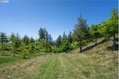 Bridgeview Dr, Brookings, OR 97415 - Photo 5