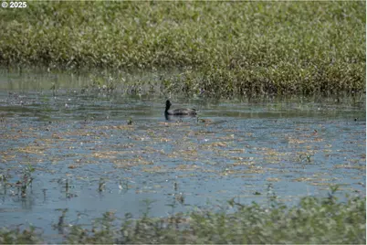 0 Duck Club Ct, Scappoose, OR 97056 - Photo 27