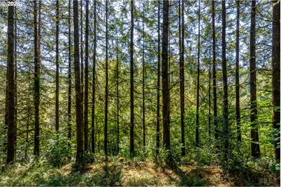 34889 Hankey Rd, Saint Helens, OR 97051 - Photo 35