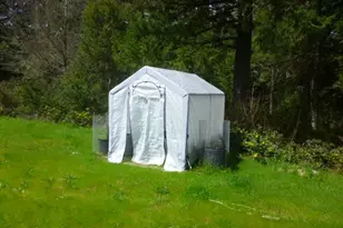 4215 Mt Reuben Rd, Glendale, OR 97442 - Photo 31