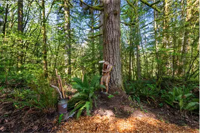 2836 Lewis River Rd, Woodland, WA 98674 - Photo 29