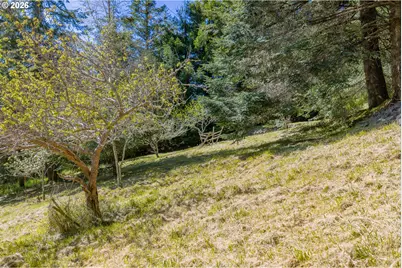 2403 Spruce St, Myrtle Point, OR 97458 - Photo 31