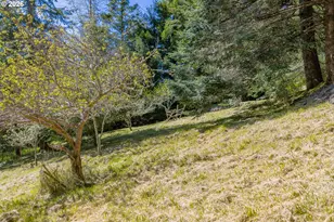 2403 Spruce St, Myrtle Point, OR 97458 - Photo 31