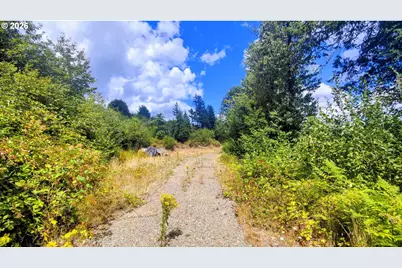 15462 S Buckner Creek Rd, Mulino, OR 97042 - Photo 15