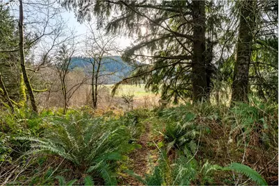 34000 Miami Foley Rd, Nehalem, OR 97131 - Photo 17