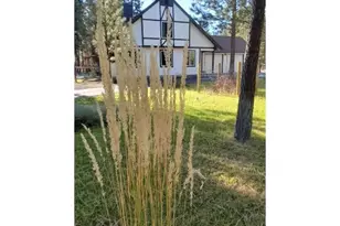 14741 N Sugar Pine Way, La Pine, OR 97739 - Photo 37