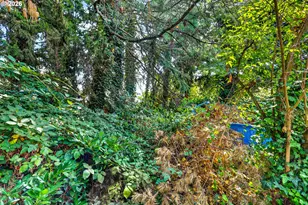 4803 NE 26th Ave, Vancouver, WA 98663 - Photo 39