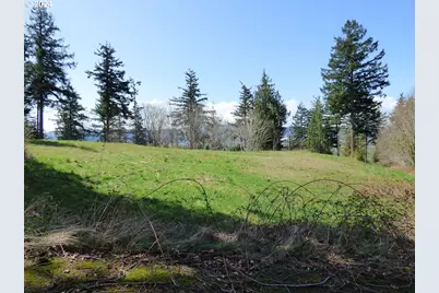 0000 Riverview East- 6441 Rd, Cathlamet, WA 98612 - Photo 7