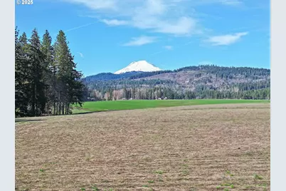 971 Highway 141, White Salmon, WA 98672 - Photo 3