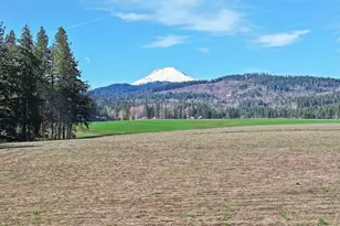 971 Hwy 141, White Salmon, WA 98672 - Photo 3