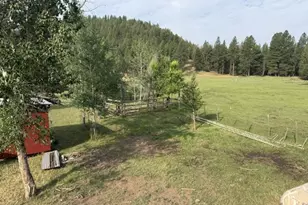 61736 Wallowa Mountian Loop, Joseph, OR 97846 - Photo 5