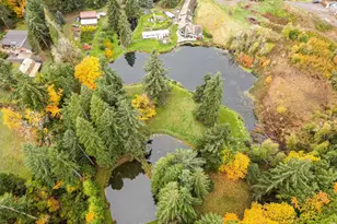 4300 Briar Knob Loop NE, Scotts Mills, OR 97375 - Photo 45