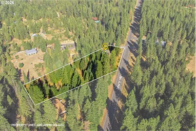 2 Westside Rd, Trout Lake, WA 98650 - Photo 17