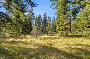 2 Westside Rd, Trout Lake, WA 98650 - Photo 39
