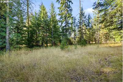 2 Westside Rd, Trout Lake, WA 98650 - Photo 37