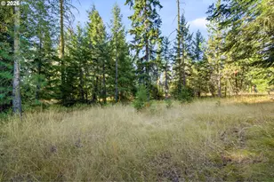 2 Westside Rd, Trout Lake, WA 98650 - Photo 37