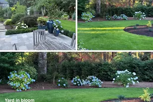 13619 NE 43rd Ct, Vancouver, WA 98686 - Photo 43