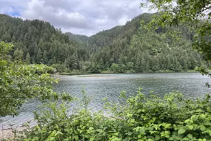 34376 State Hwy 38, Scottsburg, OR 97473 - Photo 41