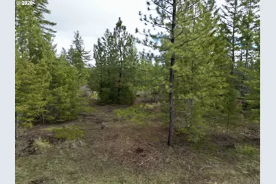 Ranger Road #2, Goldendale, WA 98620 - Photo 21