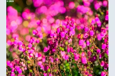 350 Hill Ct, Yachats, OR 97498 - Photo 37