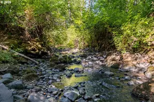 8810 (8840) Hebo Rd, Grand Ronde, OR 97347 - Photo 3