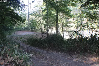 750 Ferguson Ln, Days Creek, OR 97429 - Photo 5