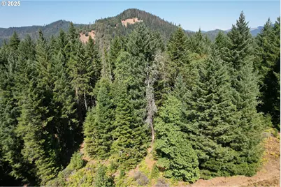 750 Ferguson Ln, Days Creek, OR 97429 - Photo 41