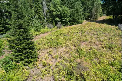 750 Ferguson Ln, Days Creek, OR 97429 - Photo 39