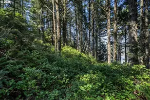 2430 Cape Meares Loop, Oceanside, OR 97134 - Photo 37