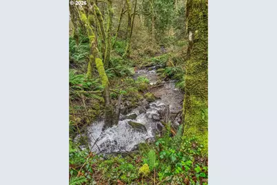 25017 NE 231st St, Battle Ground, WA 98604 - Photo 33