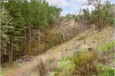 0 South Side Rd, Sutherlin, OR 97479 - Photo 13