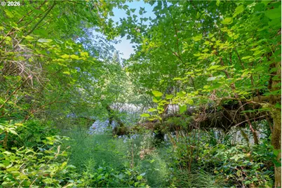 58025 Drury Ln, Blue River, OR 97413 - Photo 45