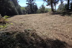 Hammond Ln, Gold Beach, OR 97444 - Photo 1