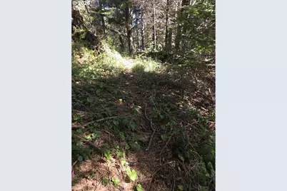 Hammond Ln #9, Gold Beach, OR 97444 - Photo 17