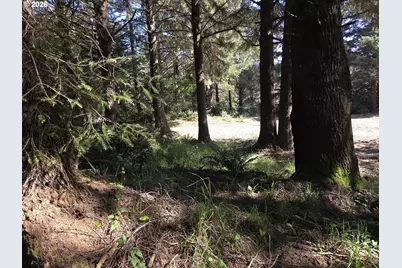 Hammond Ln #9, Gold Beach, OR 97444 - Photo 15