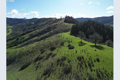 221 Foster Ln, Roseburg, OR 97470 - Photo 39