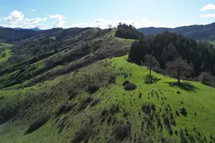 221 Foster Ln, Roseburg, OR 97470 - Photo 39