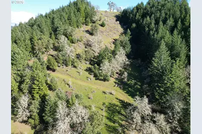 221 Foster Ln, Roseburg, OR 97470 - Photo 35