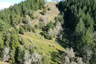 221 Foster Ln, Roseburg, OR 97470 - Photo 35